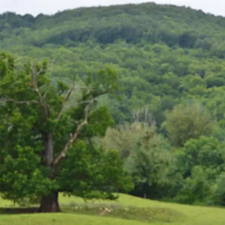 Dom wakacyjny Des Palanges A L'aubrac *