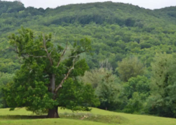 Feriehus Des Palanges A L'aubrac *